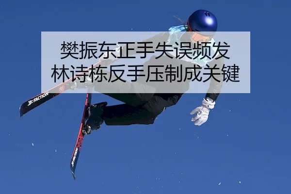 樊振东正手失误频发 林诗栋反手压制成关键